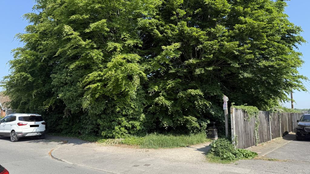 Lot: 68 - LAND WITH POTENTIAL - External image of front of site from roadside